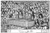 Studio B Song Byrds by Howard Teman Poster 24x36