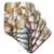 3dRose cst_40854_2 Florida Seashells II Soft Coasters, Set of 8