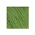 Gustaf's Sour Green Apple Licorice Laces _ 2 Lb. Bag
