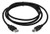 SF Cable 3ft USB 2.0 A Male to B Male Cable Black