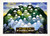 Catskill 3500' Peak Challenge Scratch Off