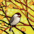 Birds Full Drill 5D Embroidery Paintings Rhinestone Pasted DIY Diamond Painting Cross Stitch Art Craft for Home Wall Decor _B_ Birds Full Drill 5D Embroidery Paintings Rhinestone Pasted DIY Diamond Painting Cross Stitch Art Craft for Home Wall Decor _B_