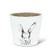 Abbott Collection 27_BENJAMIN_523_SM Sm Bunny Head Planter_4 inch  H_ White Grey