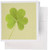 3dRose Green Clover- Irish Art- St. Patricks Day - Greeting Cards, 6 x 6 inches, set of 12 (gc_39339_2)