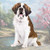 St. Bernard Tabletop Drink Coaster