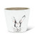 Abbott Collection 27_BENJAMIN_523_MD Md Bunny Head Planter_5 inch  H_ 5 inches H_ White Grey