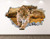 West Mountain Cheetah Wall Decal Art Decor 3D Smashed Animal Sticker Mural Kids Room Custom Gift BL67 _22 inch  W x 14 inch  H_