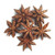 Frontier Co_op Star Anise Whole_ Select Grade _minimum 75 Percent  whole stars__ Kosher _ 1 lb. Bulk Bag _ Illicium verum Hook. f.