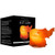 Evolution Salt - Elephant Crystal Himalayan Salt Lamp 6-8 lbs.
