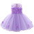 Toddler Baby Girls Flower Dress Christening Baptism Dress Lace Tulle Tutu Gowns Princess Wedding Bridesmaid Birthday Formal First Communion Pageant Dresses Evening Party R ~ Lavender 12_18 Months Toddler Baby Girls Flower Dress Christening Baptism Dress Lace Tulle Tutu Gowns Princess Wedding Bridesmaid Birthday Formal First Communion Pageant Dresses Evening Party R ~ Lavender 12_18 Months