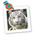 3dRose LLC qs_4845_1 White Tiger 10 by 10-Inch Quilt, Square