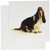 3dRose Greeting Cards, 6 x 6 Inches, Pack of 12, Handsome Basset Hound (gc_80272_2)