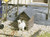 POLA 333210 Dog House G Scale Building Kit
