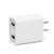 Freeby Compatible with DJI Mavic Mini Spark Drone 24W Quick Charger Power Adapter Conversion Head _White_