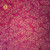 Human Kidney_ sec. 7 m H and E Microscope Slide