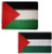 K's Novelties Wholesale Combo Palestine Country 50 inch x60 inch  Fleece  and  3'x5' Polyester Flag