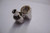 Bach Stradivarius Trombone F Rotor Stop