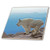 3dRose ct_88815_3 Colorado, Mount Evans Mountain Goats, Rocky MTNS US06 BJA0030 Jaynes Gallery Ceramic Tile, 8"