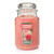 Yankee Candle Large Jar Candle, Sun-Drenched Apricot Rose