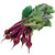 Burpee Detroit Dark Red Medium Top Beet Seeds 500 seeds
