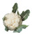 Burpee Snowball Self-Blanching Cauliflower Seeds 100 seeds
