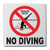 Aquatic Custom Tile Ceramic Swimming Pool International No Diving Symbol Deck Abrasive Non-Slip Finish