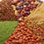 Food Items Sprinkle Mix  Autumn  6 Cell