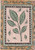 Framed Leaf Wood Mounted Rubber Stamp -H2362-