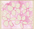 Watercolor Daisy Background Wood Mounted Rubber Stamp -H3917-