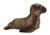 Aurora World 12 inch  inchSlick Seal Flopsie
