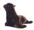 Aurora World Flopsie Seal Plush