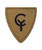 38th Infantry Division OCP Patch
