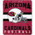 The Northwest Company NFL Arizona Cardinals Franchise Micro Raschel Throw Blanket  46 inch X 60 inch