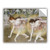 ArtWall Edgar Degas's Dancers Bending Down Art Appeelz Removable Wall Art Graphic, 14 x 18