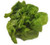 thronesfarm Lettuce Garden Collection  Heirloom Varieties -4 Top Varieties per Packet-  Vegetable Seeds