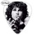 Jim Morrison Celluloid Guitar Selection Keyboard -12 Packs- for Electric Guitar  Acoustic Guitar  Mandolin and Guitar Bass