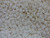 Edible Confetti Sprinkles Cake Cookie Cupcake Quins Christmas Snowflake 8 Ounces