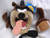Taz Tazmania Looney Tunes Collectible Plush Toy   Football Player