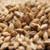 Swaen Light Munich Uncrushed Malt - 1 lb. Bag