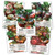 Black Tomato Seed Collection -5 Black Tomato Seed Packets- Non-GMO Seeds by Seed Needs