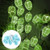 SobeiKre 10LED Easter Egg String Lights USB Socket Decorative Fairy Twinkle Lights Egg Shaped String Lights for Easter Decoration Easter Tree Party Wedding -Green-
