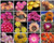 Lobivia Variety Mix Cacti Rare Cactus Seed jocad -50 Seeds-