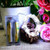 LED String Light Fairy Lights Festive Party Decorations Fairy String Light Fairy Light String 2m