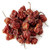 Dried Organic Carolina Reaper Peppers - World s Hottest Chili Pepper! -5-