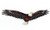 Soaring American Bald Eagle Iron on Embroidered Patch