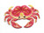 Red Crab - Tropical - Crustaceans - Ocean Animals - Iron on Applique - Embroidered Patch