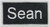 Sean Name Tag Patch Uniform ID Work Shirt Badge Embroidered Iron On Applique