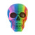 Nemesis Now Rainbow Skull 15.5cm  Polyresin  Multi-Coloured  One Size