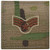 Air Force Senior Airman Rank OCP Scorpion with Hook and Loop