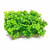 AquaTop Plastic Freshwater Aquarium Plant 12 Pack  Green  3 inch